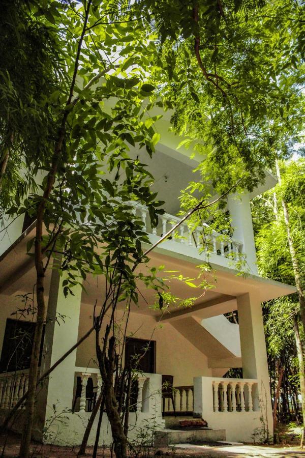 Panna Tiger Resort- Riverside Property Rājgarh 외부 사진