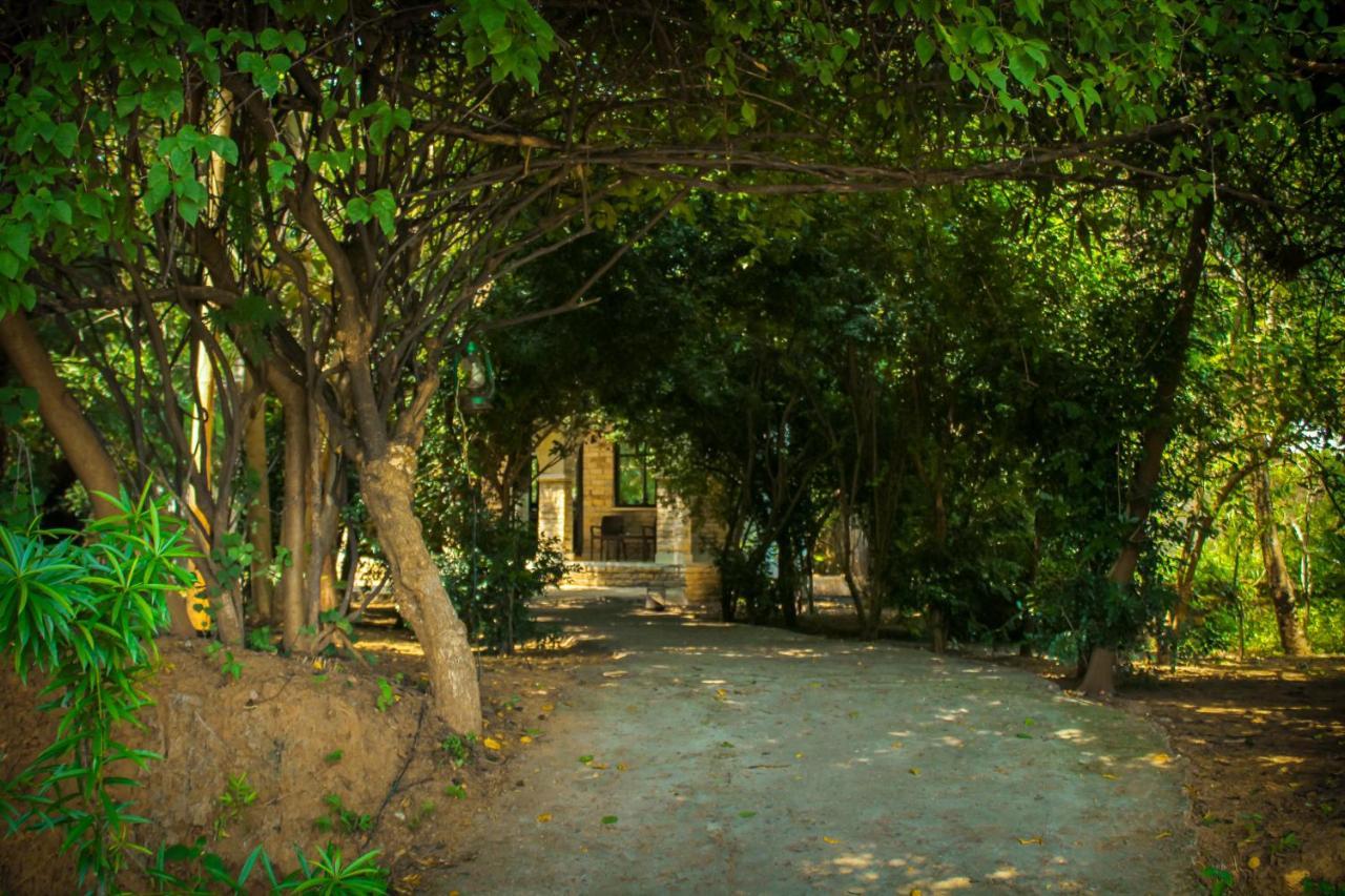 Panna Tiger Resort- Riverside Property Rājgarh 외부 사진