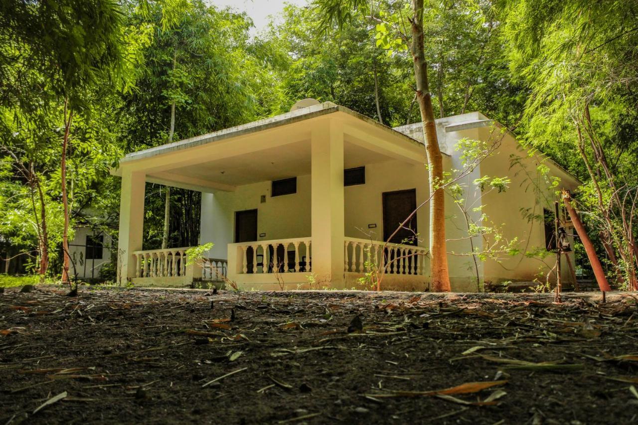 Panna Tiger Resort- Riverside Property Rājgarh 외부 사진